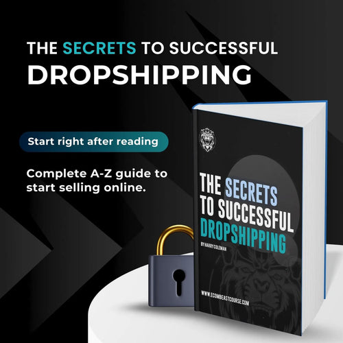 Dropshipping from Scratch: Build a Profitable eCommerce Business in 2025 (Zero to Hero)
